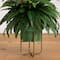2.5ft. Boston Fern in Patina Metal Planter with Stand